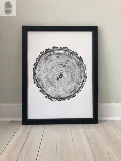 Denver Art, Rocky Mountains Pine Tree ring woodcut print showing detailed tree rings on 18x24 acid-free paper