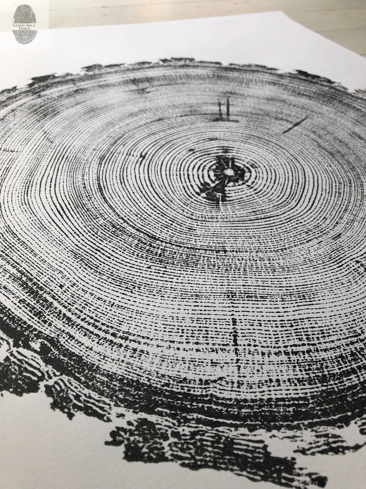 Black ink print of a tree cross-section showing detailed annual rings and textured bark edges on white paper, angled for a three-dimensional view.