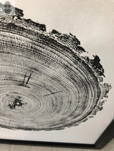 Close-up of a black ink woodcut print showing detailed tree rings and textured outer bark edge on a light background, framed with a black border.
