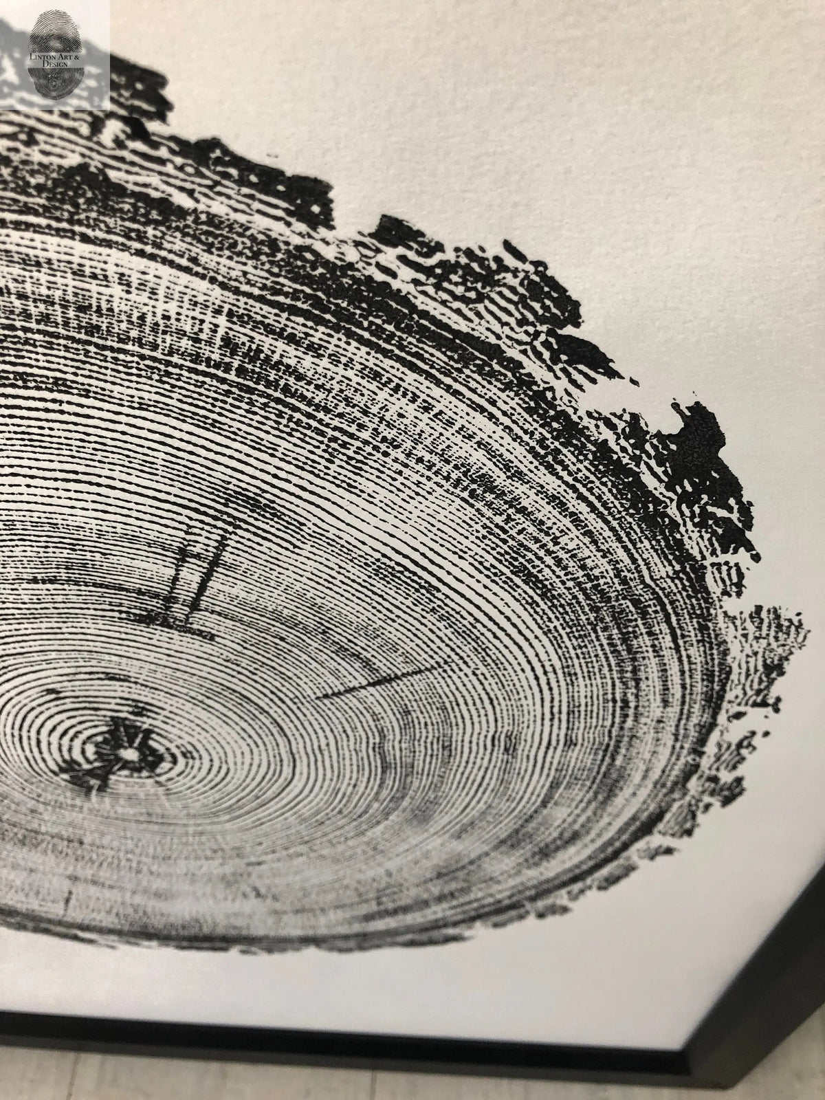 Close-up of a black ink woodcut print showing detailed tree rings and textured outer bark edge on a light background, framed with a black border.