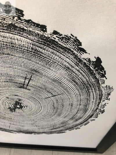 Denver Art, Rocky Mountains Tree Art, Pine Tree Art, Tree ring Print, Woodcut Print