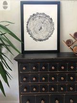 Black and white tree ring print in a black frame resting on a dark wooden cabinet with multiple small drawers and wooden knobs, next to a green plant and a wine rack.