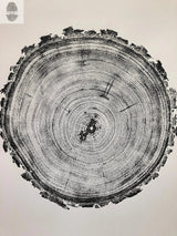 Black and white woodcut print showing detailed tree rings and uneven bark edges in a circular cross-section of a pine tree trunk.
