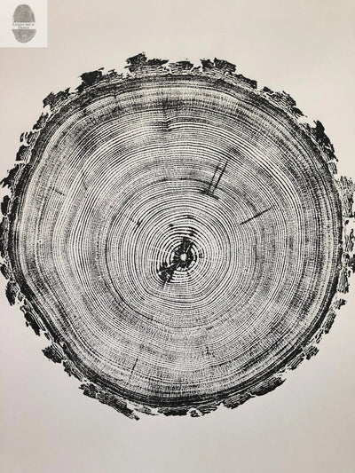 Denver Art, Rocky Mountains Tree Art, Pine Tree Art, Tree ring Print, Woodcut Print