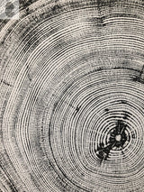 Black and white close-up print of a tree cross-section showing detailed concentric growth rings and bark texture in a woodcut style.