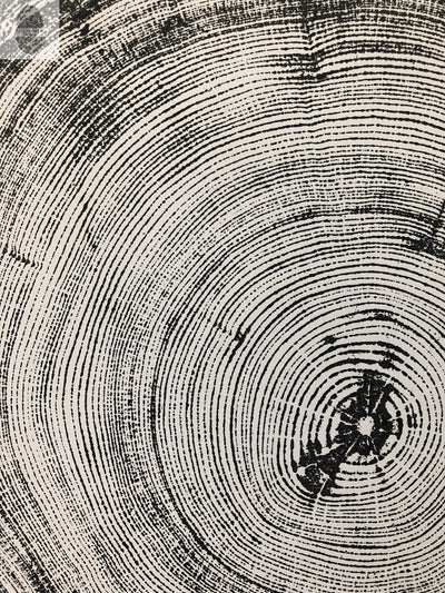 Denver Art, Rocky Mountains Tree Art, Pine Tree Art, Tree ring Print, Woodcut Print