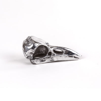 Wunderkammer Bird Skull by DEKOR - product image 2 for Resin Society
