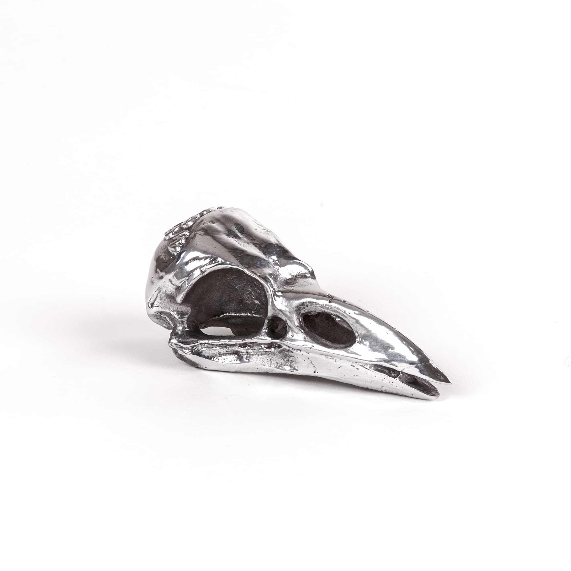 Wunderkammer Bird Skull by DEKOR - main product image for Resin Society