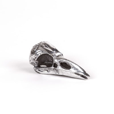 Wunderkammer Bird Skull by DEKOR - main product image for Resin Society