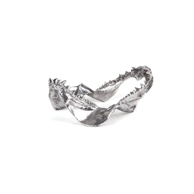Wunderkammer Shark Jaw by DEKOR - product image 5 for Resin Society