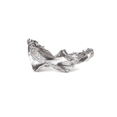 Wunderkammer Shark Jaw by DEKOR - product image 4 for Resin Society