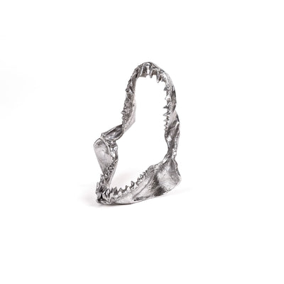 Wunderkammer Shark Jaw by DEKOR - main product image for Resin Society