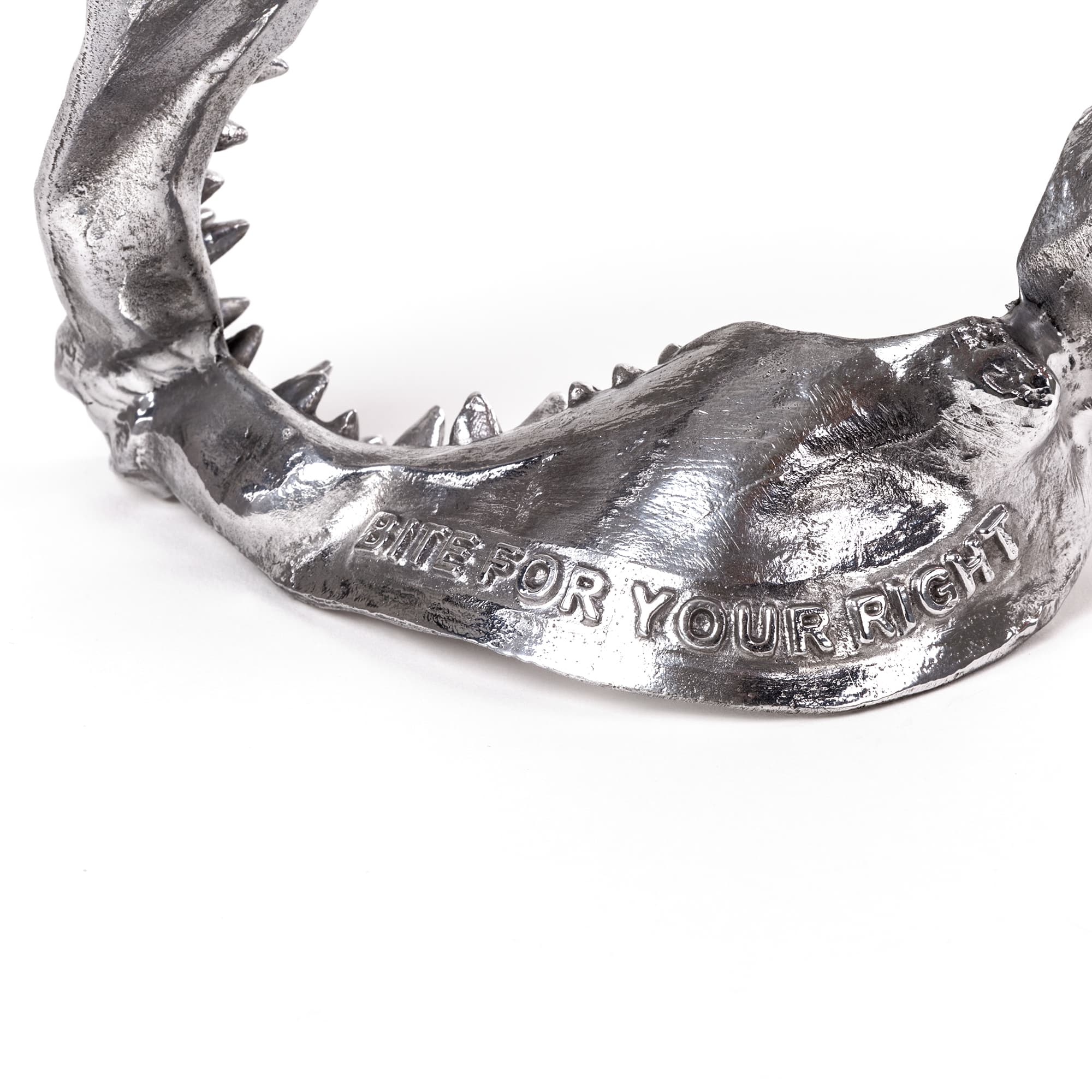 Wunderkammer Shark Jaw by DEKOR - product image 2 for Resin Society