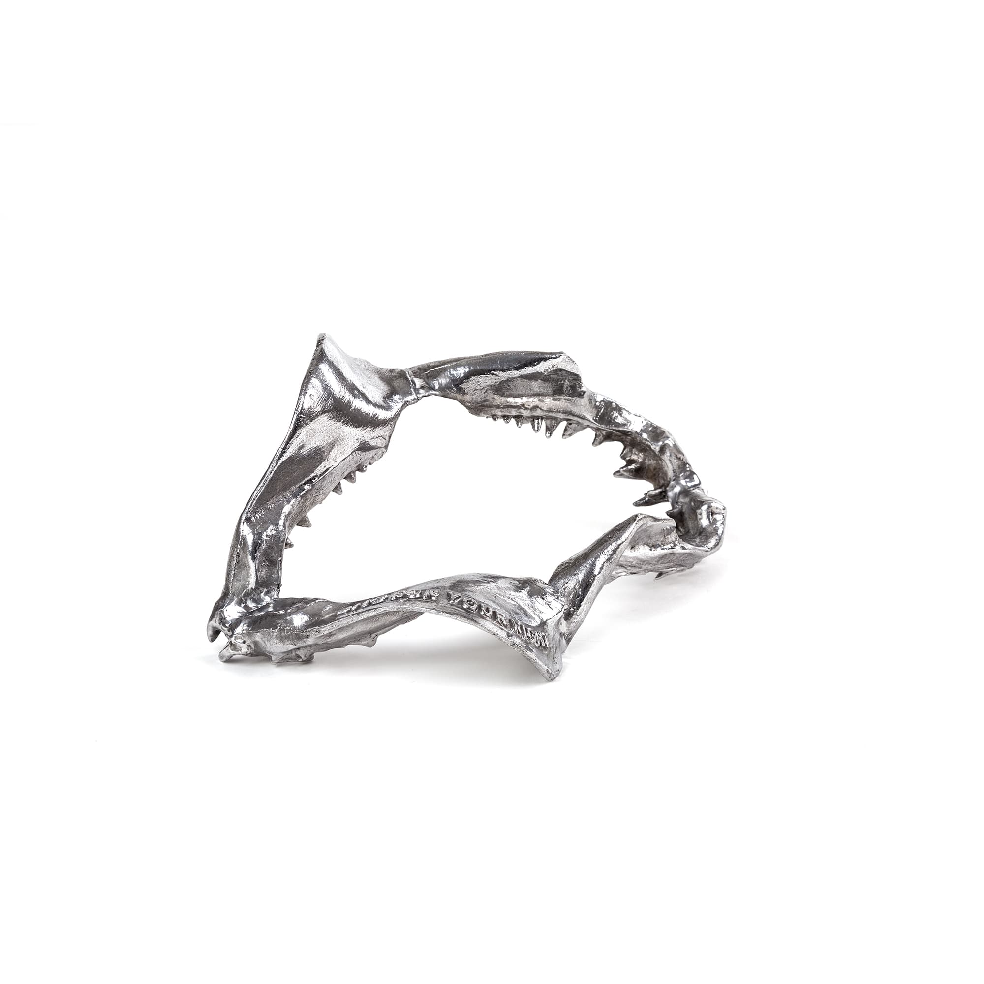 Wunderkammer Shark Jaw by DEKOR - product image 3 for Resin Society