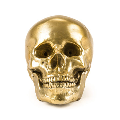 Wunderkrammer Human Skull by DEKOR - product image 3 for Resin Society