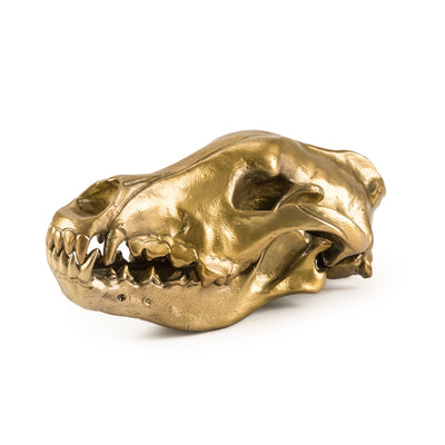 Wunderkrammer Wolf Skull by DEKOR - product image 6 for Resin Society