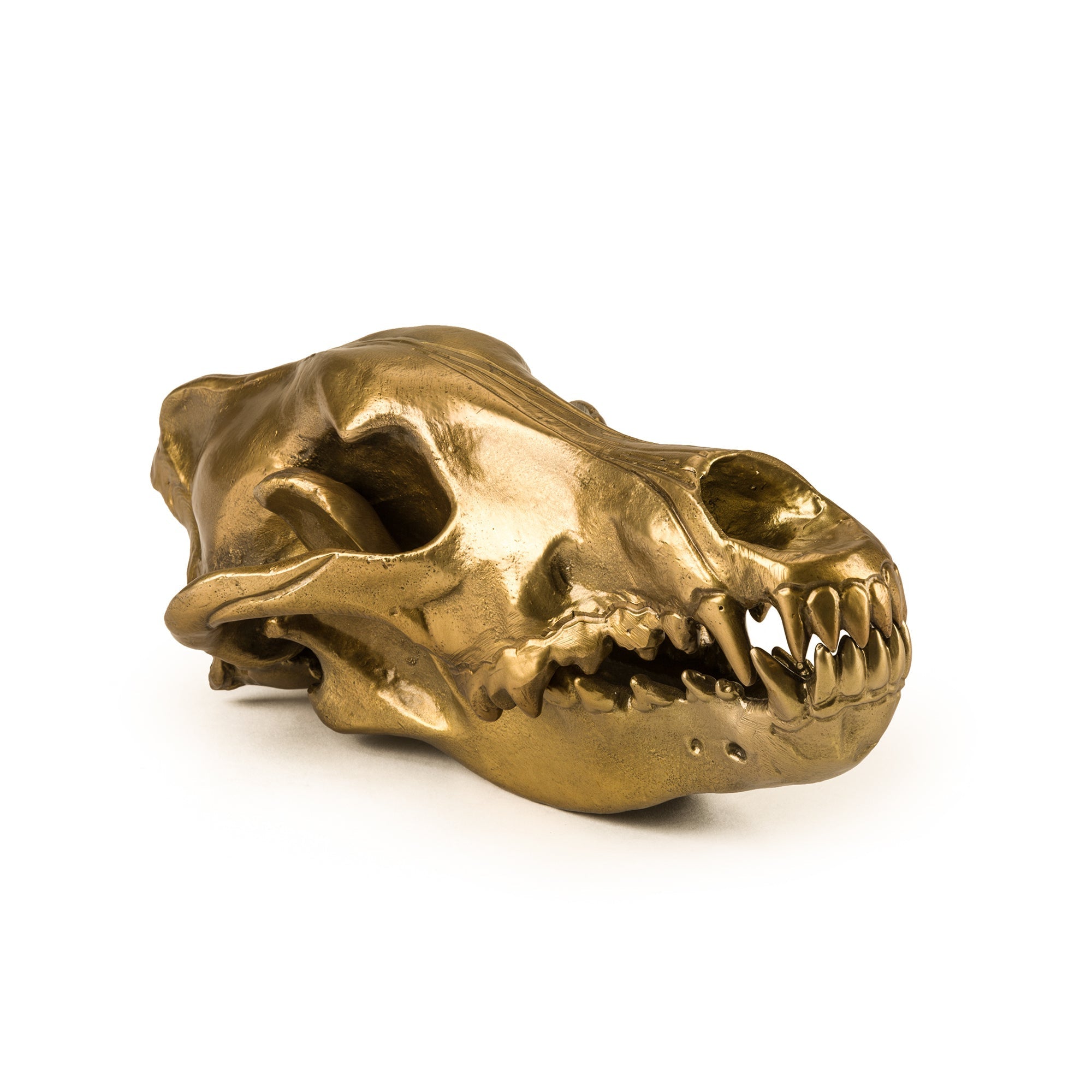 Wunderkrammer Wolf Skull by DEKOR - product image 2 for Resin Society