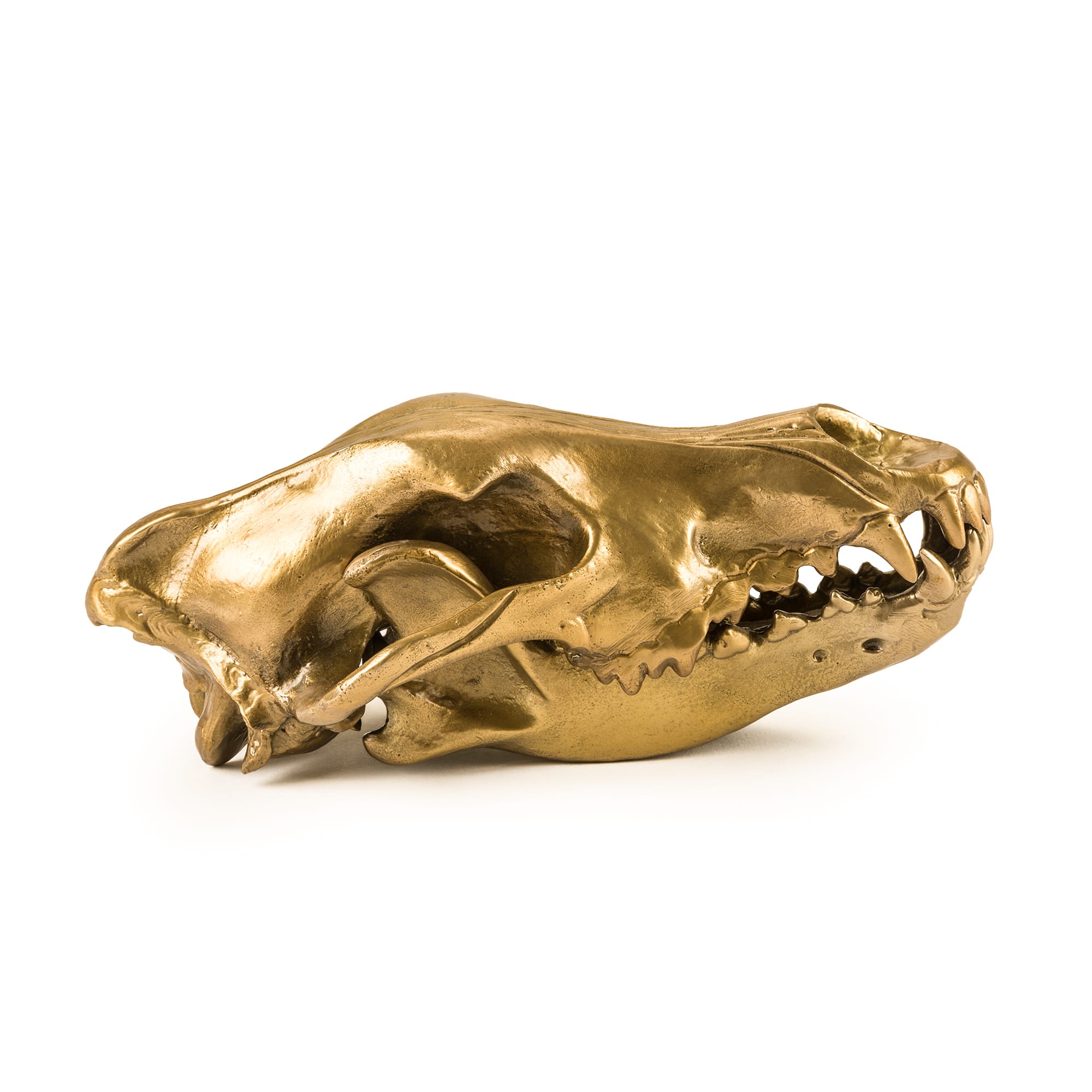 Wunderkrammer Wolf Skull by DEKOR - product image 5 for Resin Society