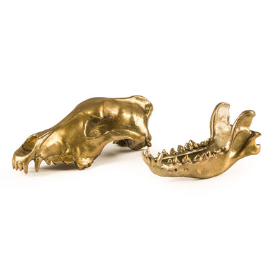 Wunderkrammer Wolf Skull by DEKOR - product image 4 for Resin Society