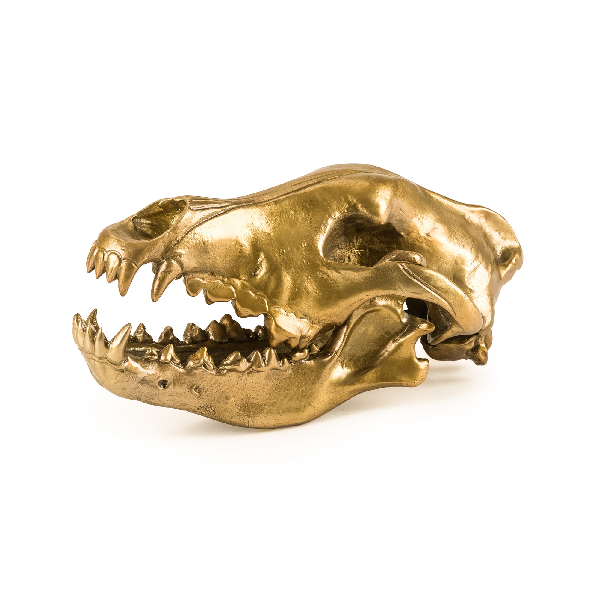 Wunderkrammer Wolf Skull by DEKOR - main product image for Resin Society
