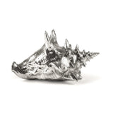 Wunderkammer Shell by DEKOR - main product image for Resin Society