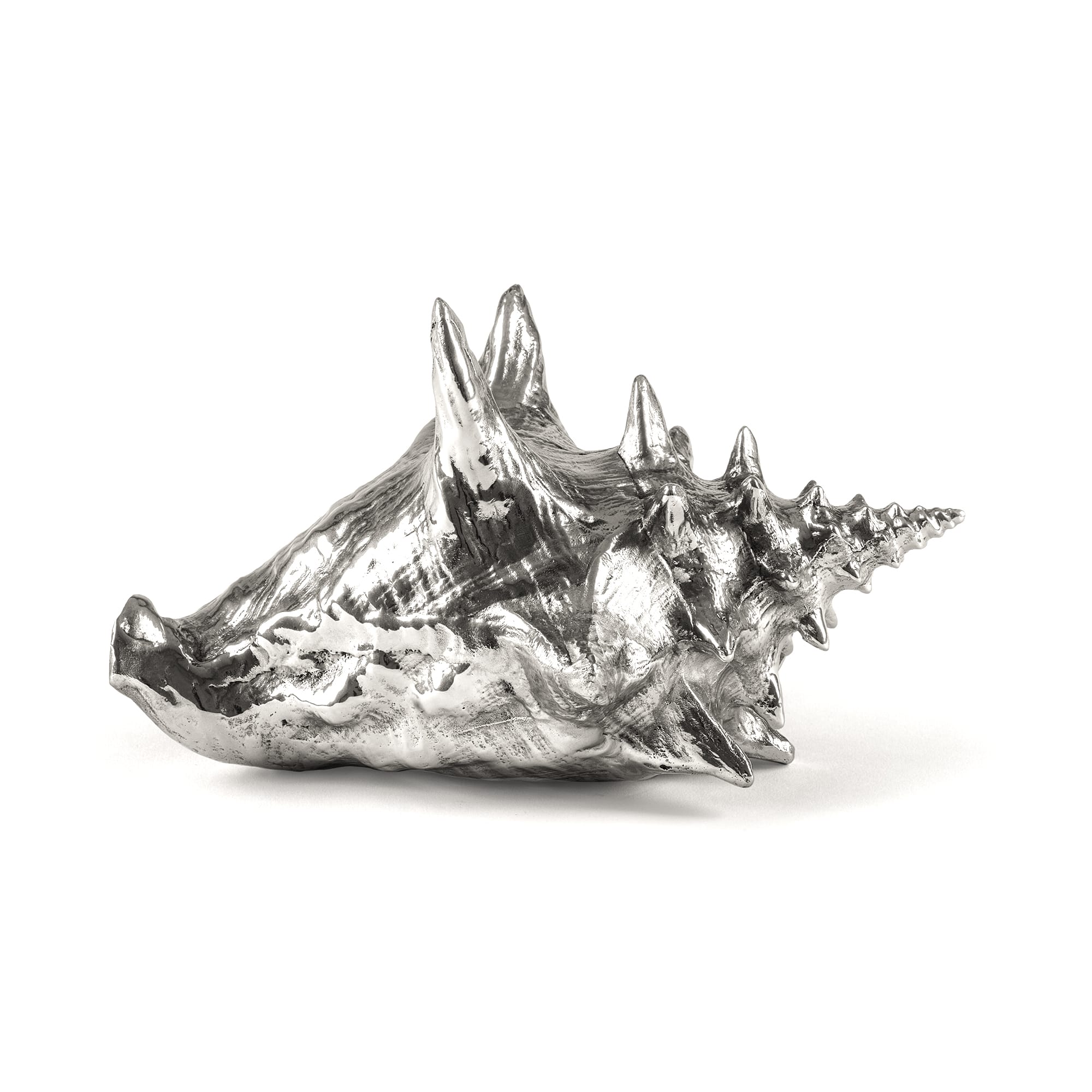 Wunderkammer Shell by DEKOR - main product image for Resin Society