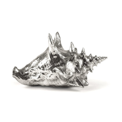 Wunderkammer Shell by DEKOR - main product image for Resin Society