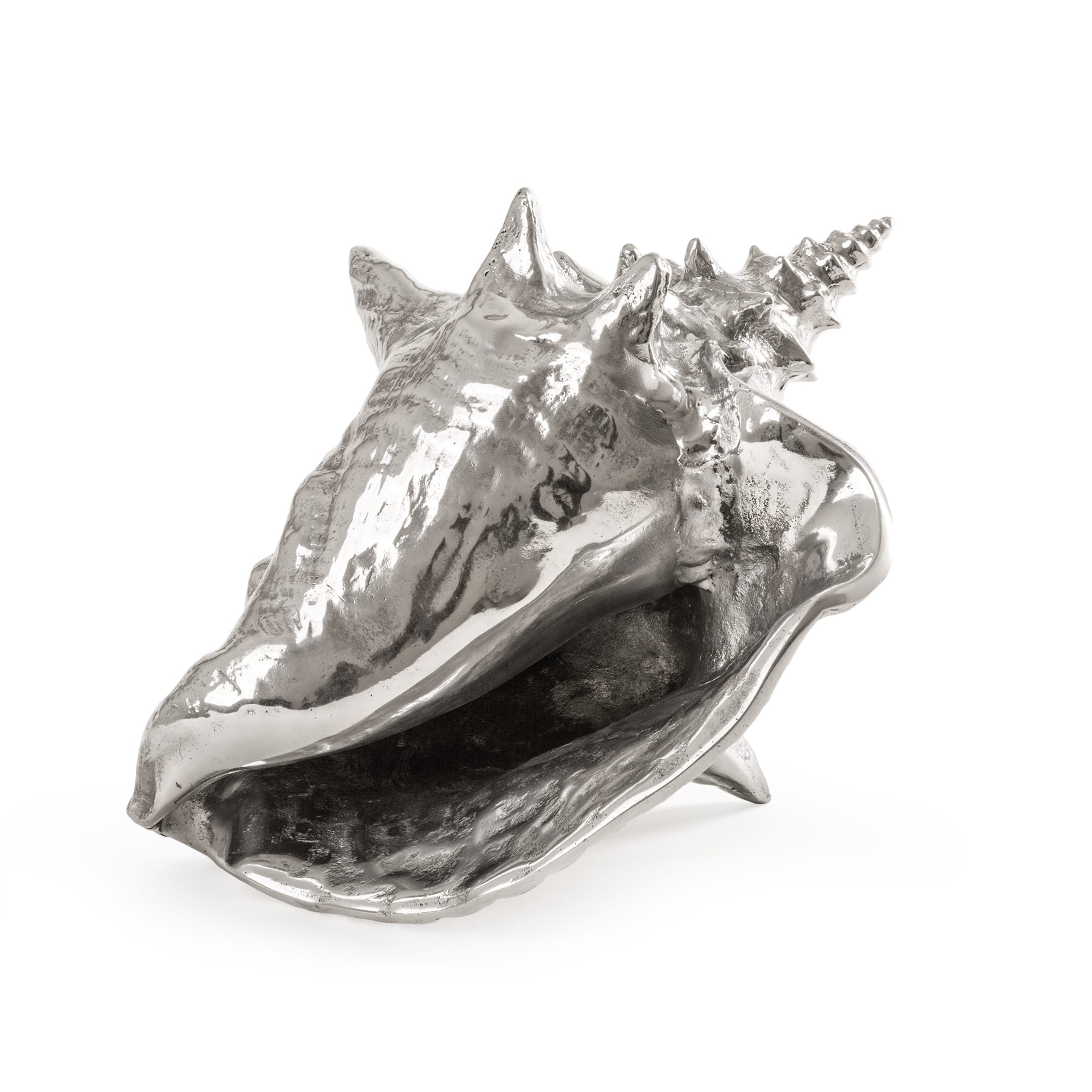 Wunderkammer Shell by DEKOR - product image 5 for Resin Society