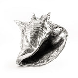 Wunderkammer Shell by DEKOR - product image 4 for Resin Society