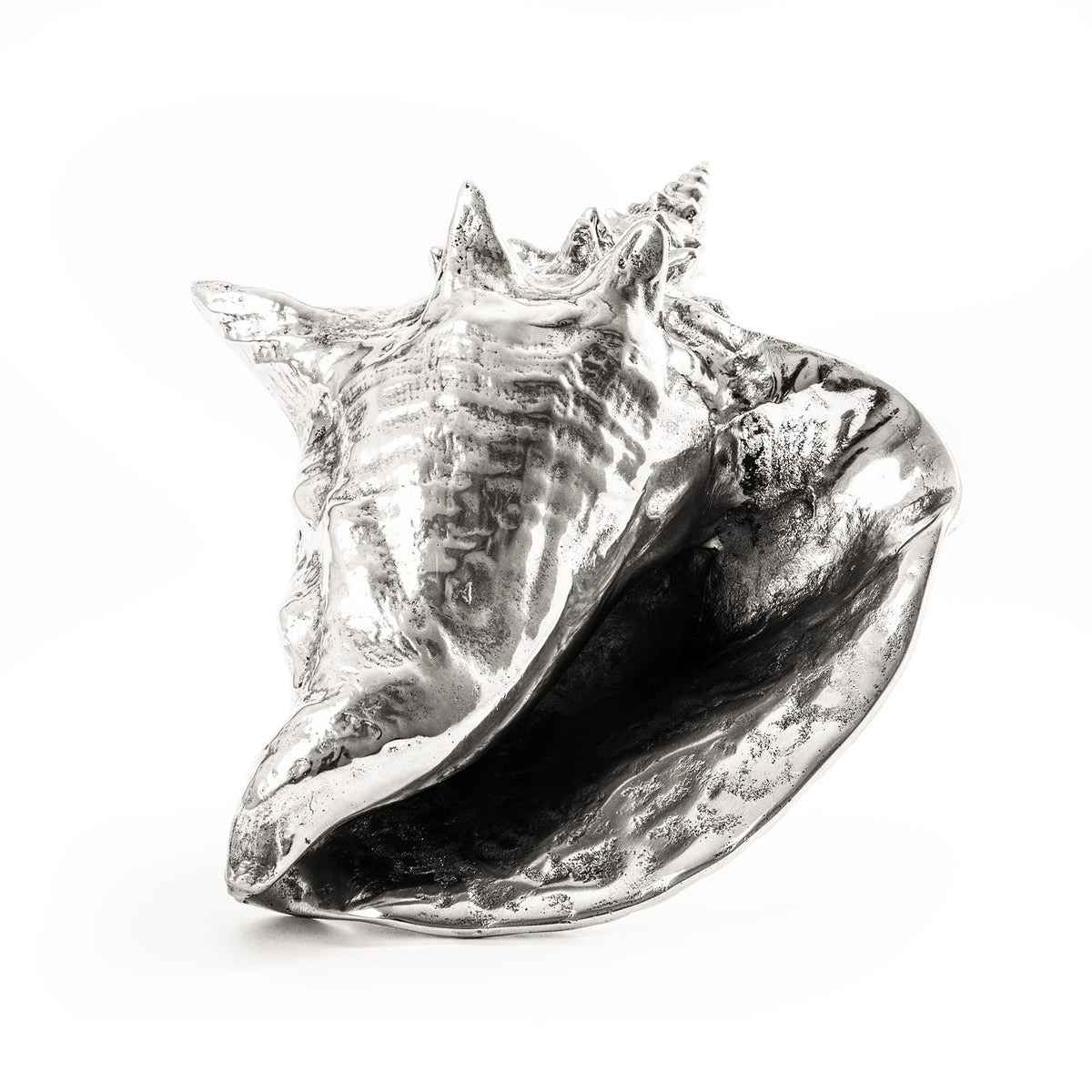 Wunderkammer Shell by DEKOR - product image 4 for Resin Society