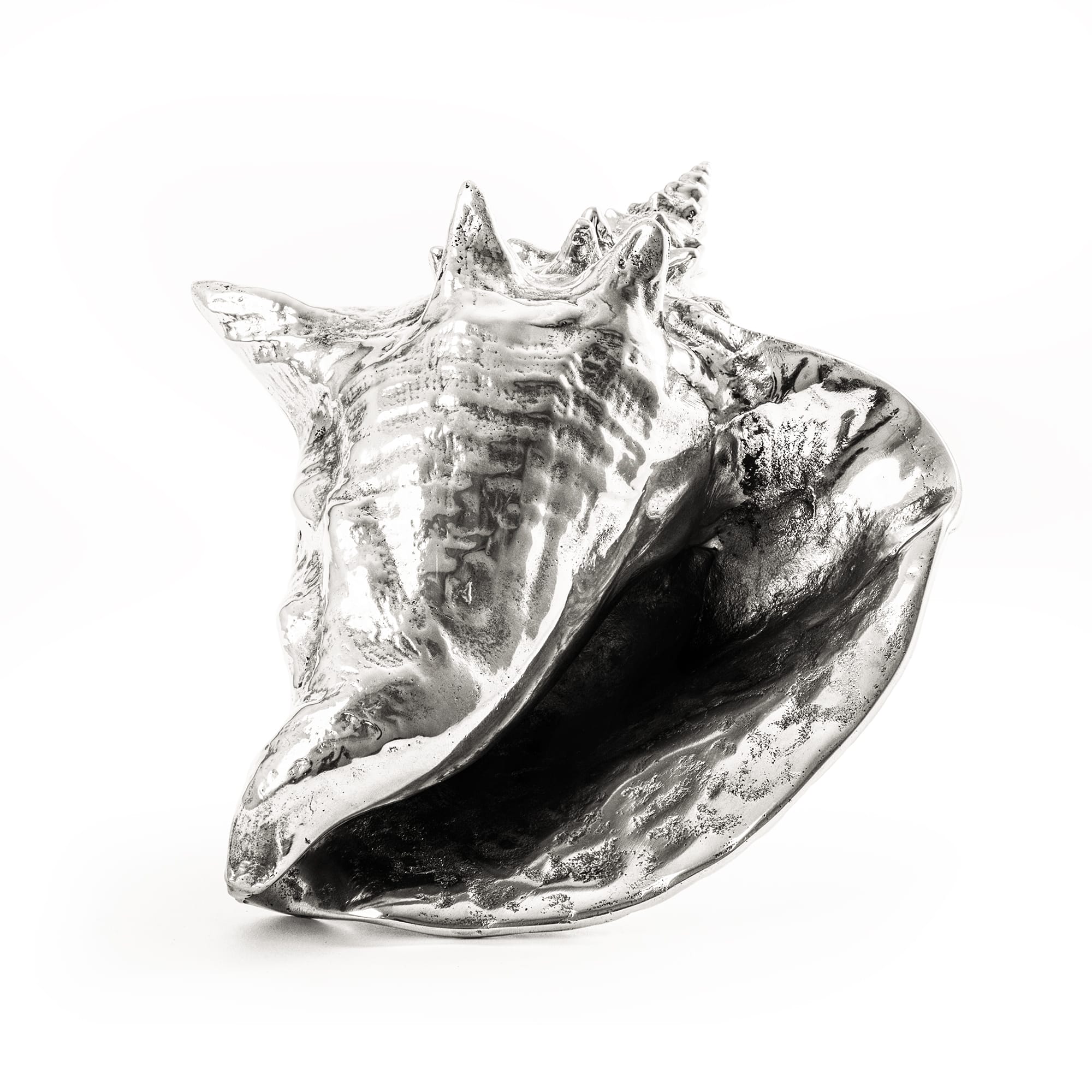 Wunderkammer Shell by DEKOR - product image 4 for Resin Society