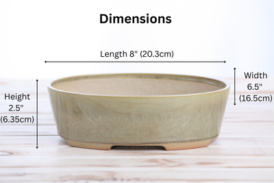 Willow Bonsai Ceramics Oval A Bonsai Pot 8 Inch – Straight-Sided Oval Planter