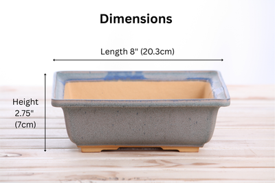 Willow Bonsai Ceramics Square Bonsai Pot 8 Inch – Ocean