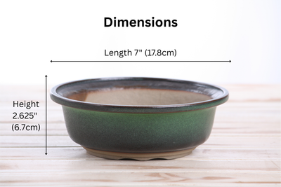 Willow Bonsai Ceramics Round Bonsai Pot 7 Inch in Avocado