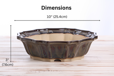 Willow Bonsai Ceramics Flower Design Bonsai Pot 10 Inch – Dark Honey