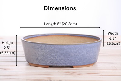 Willow Bonsai Ceramics Oval A Bonsai Pot 8 Inch – Denim