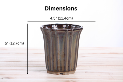 Willow Bonsai Ceramics Flower Design Cascade Bonsai Pot 4.5 Inch Dark Honey