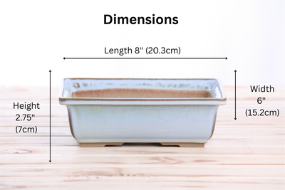 Willow Bonsai Ceramics Rectangle Bonsai Pot 8 Inch – Glacier