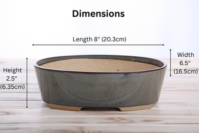 Willow Bonsai Ceramics Oval A Bonsai Pot 8 Inch – Starry Night