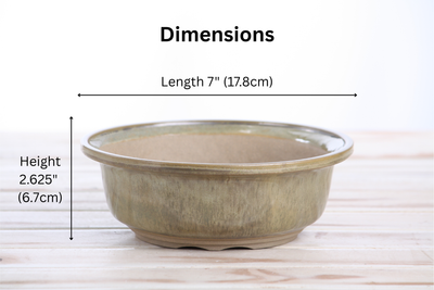 Willow Bonsai Ceramics Round Bonsai Pot 7 Inch – Copenhagen
