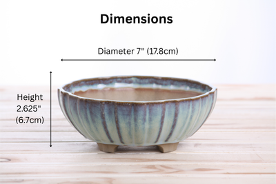Willow Bonsai Ceramics Lily Bonsai Pot 7 Inch – Glacier