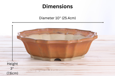 Willow Bonsai Ceramics Flower Design Bonsai Pot 10 Inch – Deep Stone