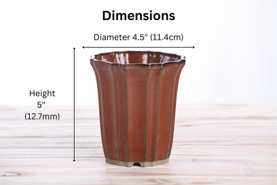 Willow Bonsai Ceramics Flower Design Cascade Bonsai Pot 4.5 Inch - Sunset