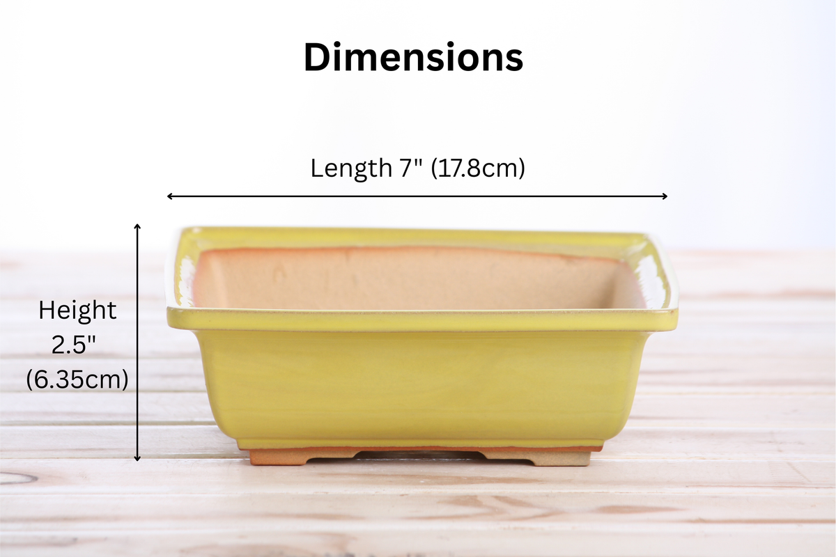 Yellow square ceramic bonsai pot with slightly flared rim, measuring 7 inches in length and 2.5 inches in height, displayed on a wooden surface with dimension labels.