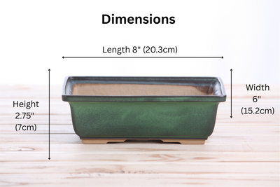 Willow Bonsai Ceramics Rectangle Bonsai Pot 8 Inch (Avocado)