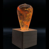 EP Light Nebula Resin LED Lamp showing handcrafted nebula design with wooden base options