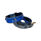 Coiled dog collar and leash set with a multi-tone blue snake pattern and gold hardware, featuring textured scales and a shiny finish.