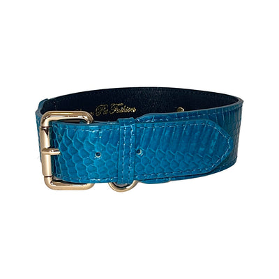 Dark turquoise snake pattern collar with gold hardware worn on a neck