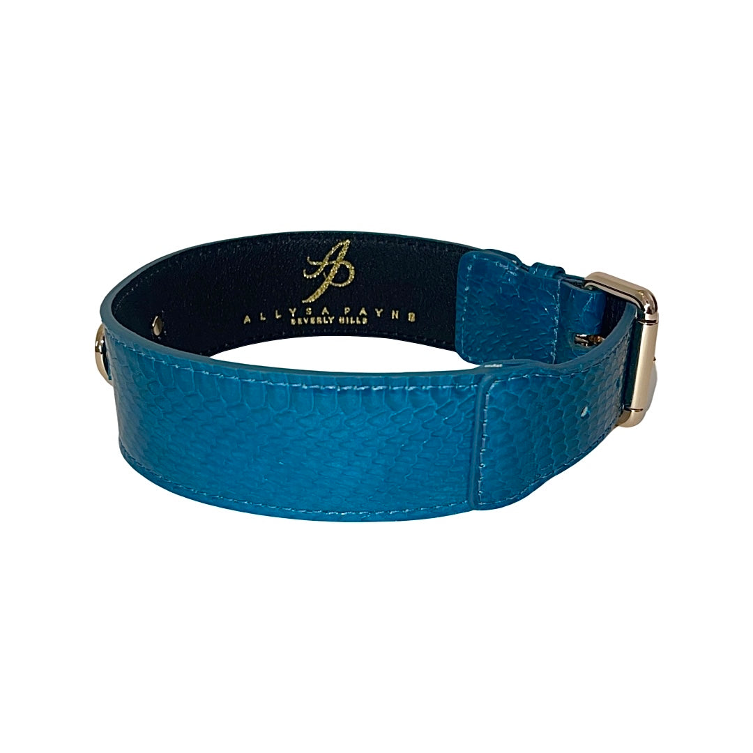 Dark turquoise snake-pattern collar with classic gold buckle hardware and black interior lining, shown curved and facing slightly right on white background.