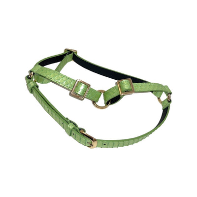 Pearl Green Snake Harness on dog with a textured snake pattern against a light background